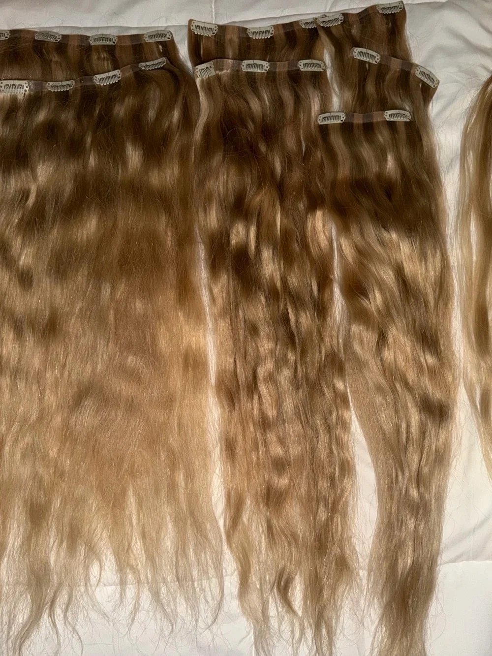 24” Beige Blonde Clip-In Extensions BFB Hair